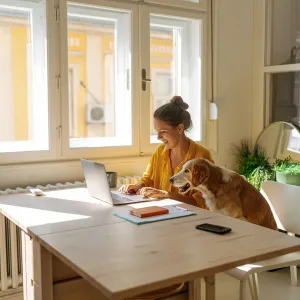 What’s new in Copilot Studio: November